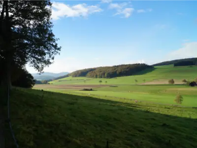 Picture73 635728525455268916