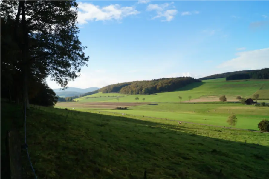 Picture73 635728525455268916