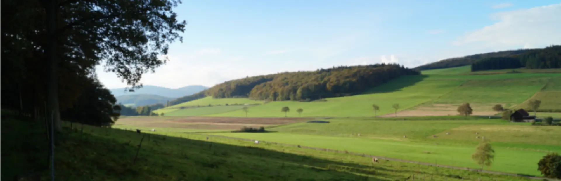 Picture73 635728525455268916